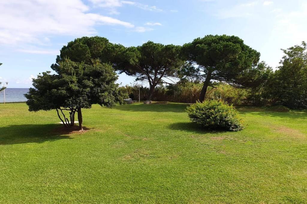 Studio Bord De Mer - Piscine - Plage 圣尼科劳 外观 照片